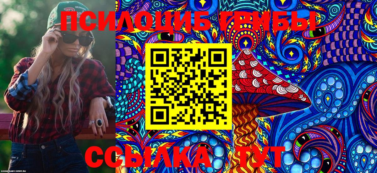сколько стоит  Вход с VPN  Вичуга  Псилоцибиновые грибы Psilocybe 